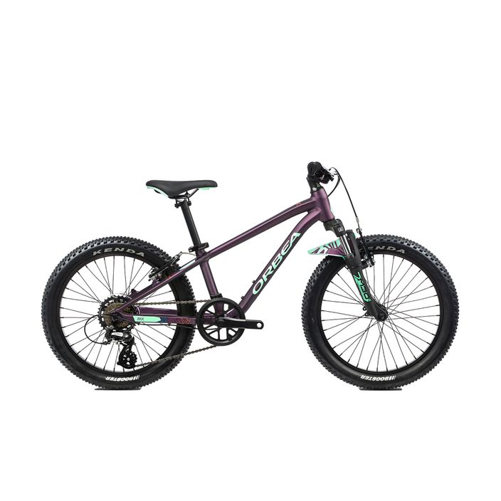 Παιδικό ποδήλατο Orbea MX 20 XC μωβ L00420I7 2