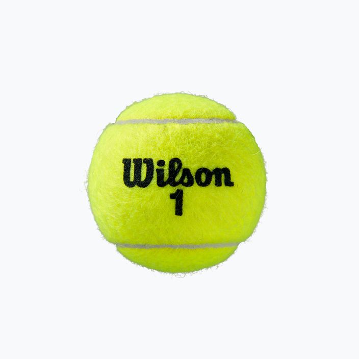 Μπάλες τένις Wilson Roland Garros Clay Ct 3 τεμάχια κίτρινο WRT125000 3