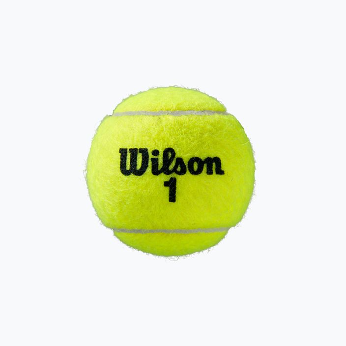 Μπάλες τένις Wilson Roland Garros Clay Ct 4 τεμάχια κίτρινο WRT115000 3