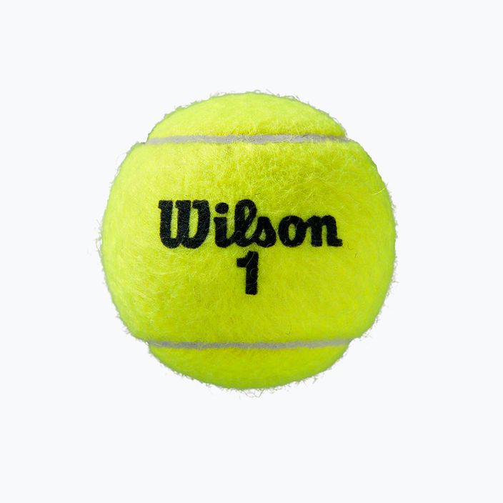 Wilson Roland Garros All Ct 4 Ball μπάλες τένις 2Pk 8 τεμάχια κίτρινο WRT116402 4