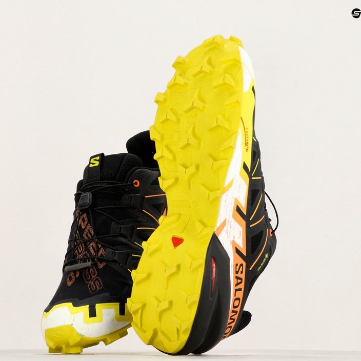 Ανδρικά παπούτσια για τρέξιμο Salomon Speedcross 6 GTX μαύρο / θειάφι άνοιξη / πουλί του παραδείσου 10