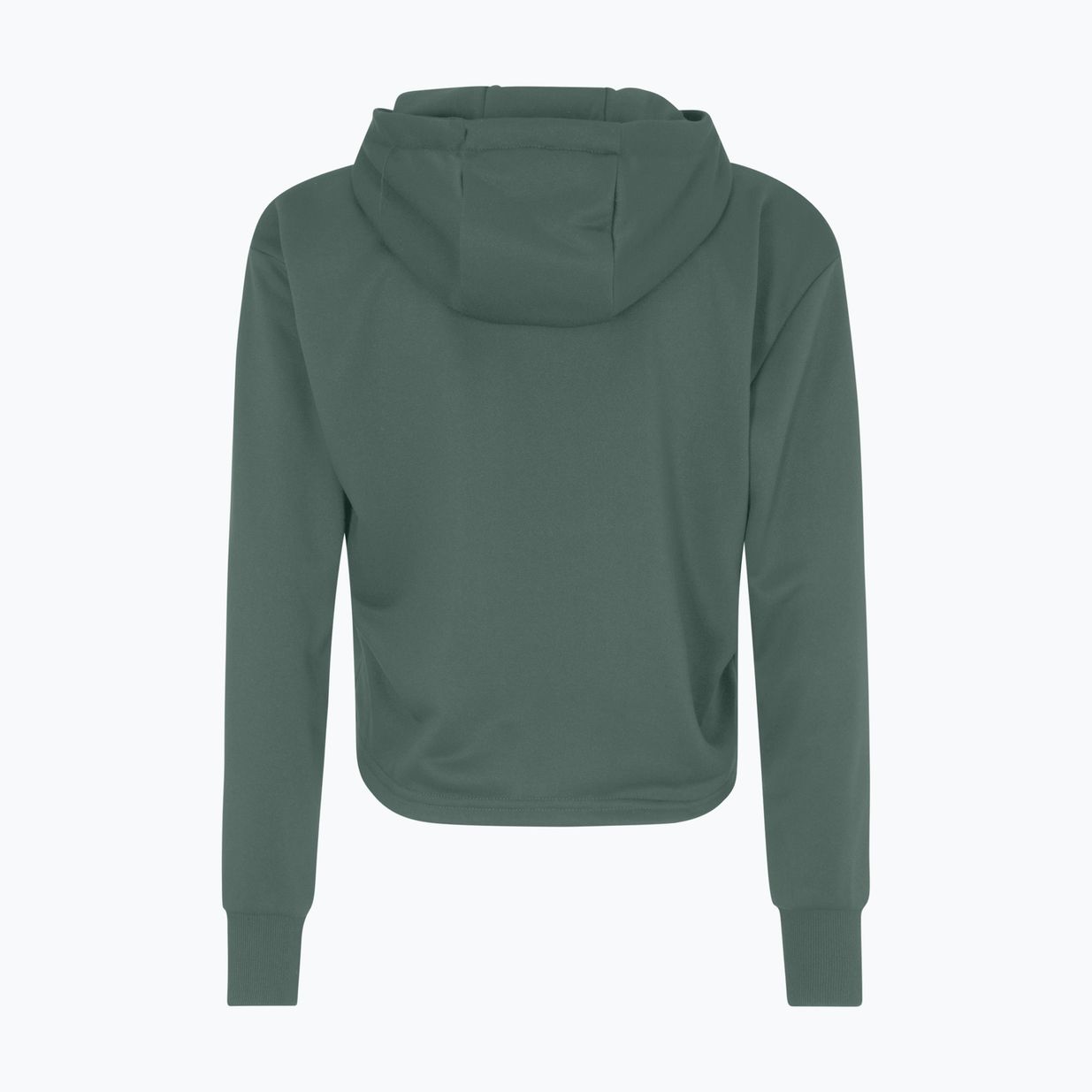 FILA Γυναικείο φούτερ Rheine Cropped Hoody σκούρο δάσος 2