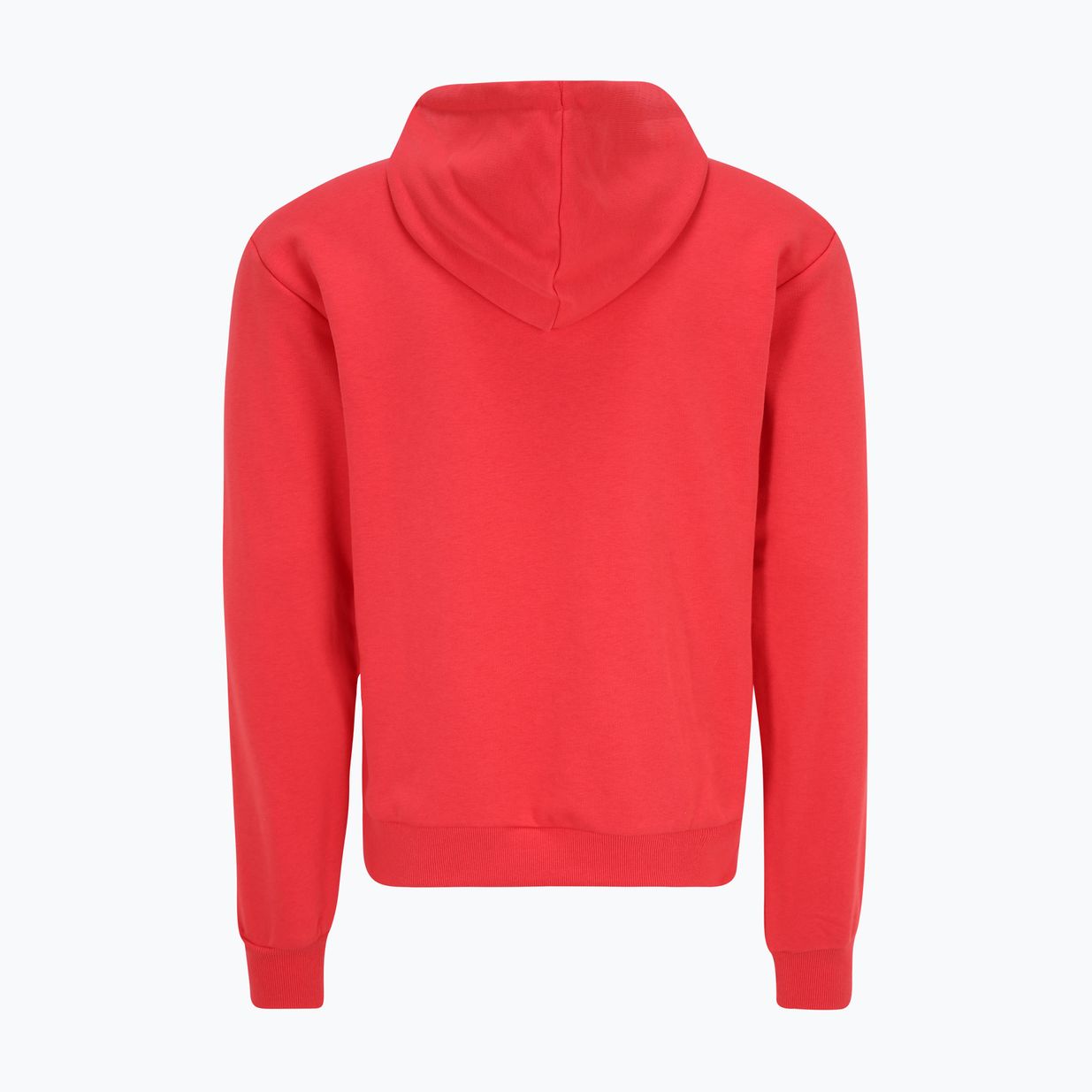 Ανδρικό φούτερ FILA Bengel Regular Hoody cayenne 6