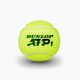 Dunlop ATP μπάλες τένις 4 τεμάχια κίτρινο 601314 3