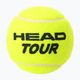 HEAD Tour μπάλες τένις 4 τεμάχια κίτρινο 570704 2