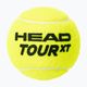 HEAD Tour XT μπάλες τένις 4 τμχ κίτρινο 570824 2