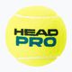 HEAD Pro μπάλες τένις 4 τμχ κίτρινο 571604 2