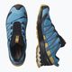 Salomon XA Pro 3D V8 ανδρικά παπούτσια για τρέξιμο L41439900 14