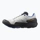 Salomon Pulsar Trail ανδρικά παπούτσια μονοπατιών γκρι L41602700 12