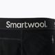 Ανδρικό Smartwool Merino 250 Baselayer Bottom Boxed θερμικό παντελόνι μαύρο SW016362001 7