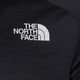 Ανδρικό μπλουζάκι Trekking The North Face Ma μαύρο NF0A5IEUPH51 3