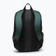 Oakley σακίδιο πεζοπορίας Oakley Enduro 20L 3.0 σακίδιο πλάτης hunter green 2