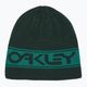 Oakley TNP Reversible καπέλο πράσινο FOS901066 4