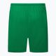 Ανδρικό σορτς ποδοσφαίρου Nike Dry-Fit Park III πράσινο BV6855-302 2
