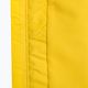 Ανδρικό μπουφάν ποδοσφαίρου Nike Park 20 Rain Jacket tour κίτρινο/μαύρο/μαύρο 4