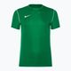 Ανδρική φανέλα ποδοσφαίρου Nike Dri-Fit Park 20 πράσινο/λευκό