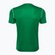 Ανδρική φανέλα ποδοσφαίρου Nike Dri-Fit Park 20 πράσινο/λευκό 2
