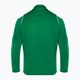 Nike Dri-FIT Park 20 Knit Track πεύκο πράσινο/λευκό παιδικό φούτερ ποδοσφαίρου 2