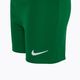 Nike Dri-FIT Park Little Kids σετ ποδοσφαίρου πεύκο πράσινο/πεύκο πράσινο/λευκό 5