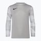 Nike Dri-FIT Park IV Παιδικό μπλουζάκι για τερματοφύλακες γκρι-γκρι/λευκό/μαύρο
