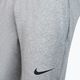 Ανδρικό παντελόνι προπόνησης Nike Pant Taper γκρι CZ6379-063 3