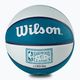 Wilson NBA Team Retro Mini Charlotte Hornets μπάσκετ WTB3200XBCHA μέγεθος 3 6