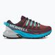 Merrell Agility Peak 4 γυναικεία παπούτσια για τρέξιμο μπορντό-μπλε J067546 2