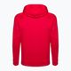 Ανδρικό φούτερ Under Armour Rival Fleece Big Logo Hd hoodie κόκκινο 1357093 6