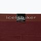 Γυναικείο θερμικό παντελόνι icebreaker 200 Oasis καφέ IB1043830641 10