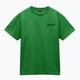 Ανδρικό t-shirt Napapijri S-Linth green kelly t-shirt 5