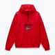 Ανδρικό Napapijri Burgee Half Zip Hooded 2.0 κόκκινο goji φούτερ με κουκούλα 5