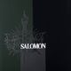 Ανδρικό snowboard Salomon Assassin PRO μαύρο L47017200 6