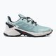Salomon Supercross 4 γυναικεία παπούτσια για τρέξιμο πράσινο L41737300 2