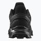 Salomon Alphacross 4 GTX ανδρικά παπούτσια μονοπατιών L47064000 14