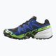 Ανδρικά παπούτσια για τρέξιμο Salomon Spikecross 6 GTX μαύρο/surf the web/green gecko 8