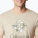 Columbia Rapid Ridge Graphic ανδρικό πουκάμισο trekking μπεζ 1888813273 3