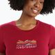 Icebreaker Tech Lite II γυναικείο πουκάμισο trekking ροζ IB0A56IS0591 4