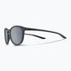 Γυαλιά ηλίου Nike Evolution ματ σκούρο γκρι/ασημί flash 5