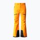 Ανδρικό παντελόνι σκι The North Face Chakal πορτοκαλί NF0A5IYV78M1 5