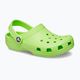 Crocs Classic Clog T limeade παιδικές σαγιονάρες 9