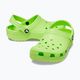Crocs Classic Clog T limeade παιδικές σαγιονάρες 11