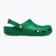 Crocs Classic σαγιονάρες πράσινη κισσός 2