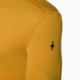 Ανδρικό Smartwool Merino 250 Baselayer Crew Boxed honey gold thermal T-shirt 5