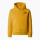 Παιδικό φούτερ The North Face Teen Redbox Regular P/O summit gold 3