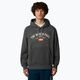 Ανδρικό μπλουζάκι The North Face Varsity Graphic medium grey heather