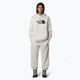 Γυναικείο φούτερ The North Face Drew Peak Pullover Hoodie white dune 2