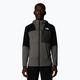 Ανδρικό φούτερ The North Face Stormgap Powergrid smoked pearl/ black