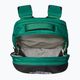 Σακίδιο πεζοπορίας The North Face Borealis 28 l evergreen/black 4