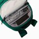 Σακίδιο πεζοπορίας The North Face Borealis 28 l evergreen/black 5