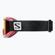 Salomon Juke Access ροζ/τονικό πορτοκαλί παιδικά γυαλιά σκι L39137500 8